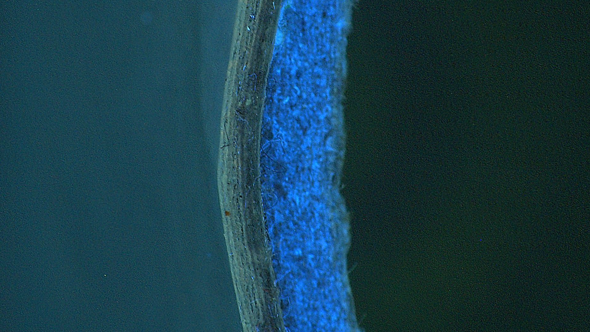 Microscope image of a labelling roll