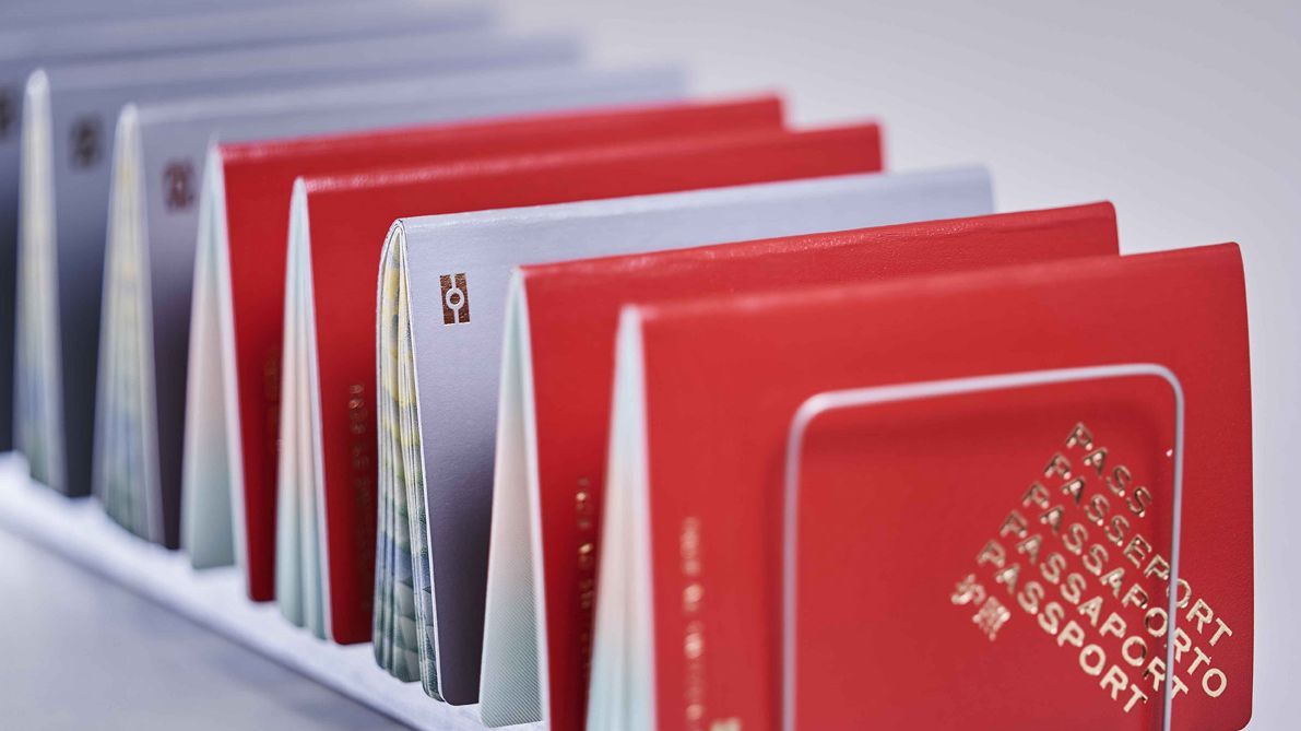 Passport documents lined up in a stand